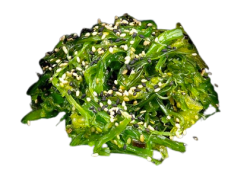 УАКАМЕ