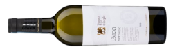 Tenuta San Giorgio Pinot Grigio